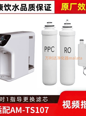 非原装适配水美乐AM-TS107台式净水机复合RO反渗透后置碳平替滤芯