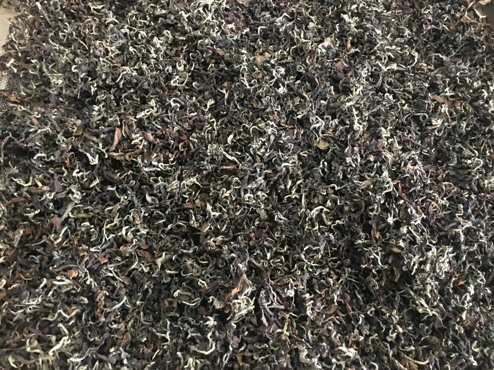 新竹县峨眉乡2021年夏茶东方美人白毫乌龙直邮75gx2 散裝