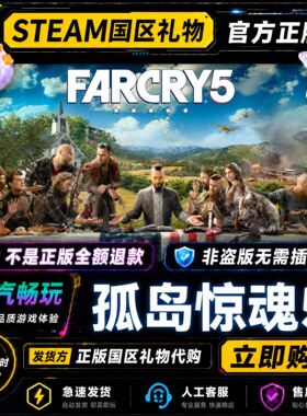 steam正版 孤岛惊魂5 Far Cry 5 国区好友礼物激活码cdk 好友送礼