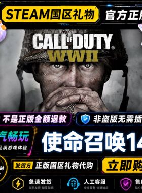 Steam正版 使命召唤14Call of Duty WWII 使命召唤二战  国区礼物