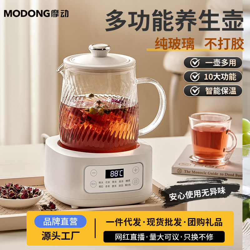 摩动养生壶/煎药壶/养生杯