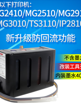 丽辉 适用佳能MG2410 MG2510 MG2910 MG3010 TS3110 IP2810 打印机连供 PGI-145 CL-146墨盒打印机连供
