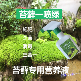 苔藓专用营养液杀菌消毒液短绒小灰白发朵朵大灰星星藓造景液体肥