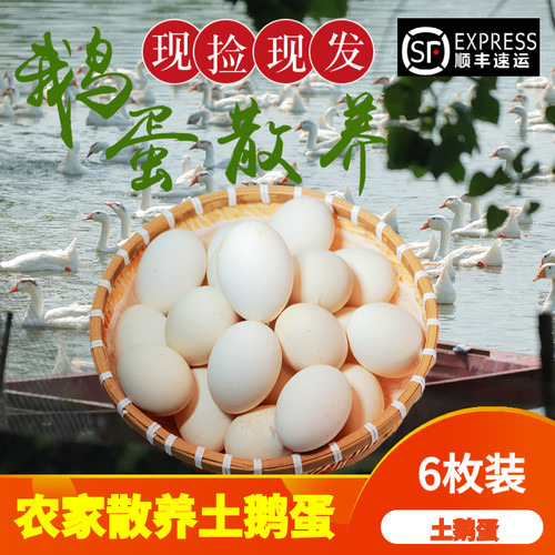 十五年企业新鲜散养鹅蛋顺丰包邮