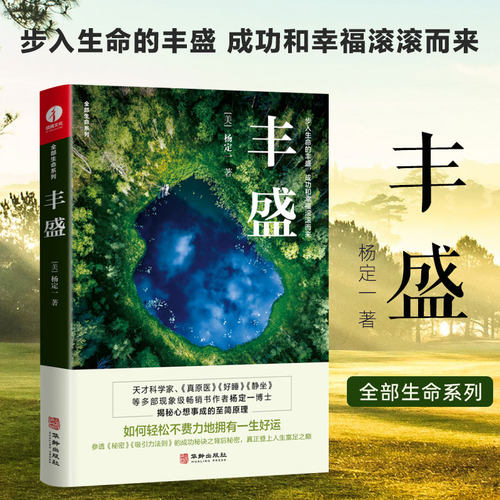 丰盛 杨定一著揭秘心想事成的至简真理 参透秘密吸引力法则的成功秘诀之背后秘密成功励志正版书籍包邮华龄出版社