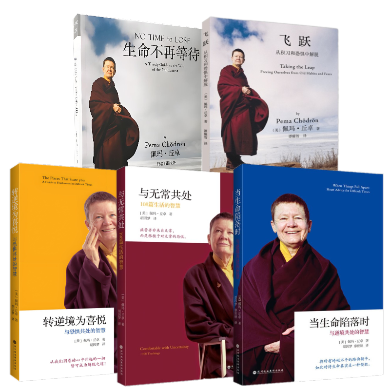 正版单套任选】佩玛丘卓作品套装5册 生命不再等待+飞跃+当生命陷落时+与无常共处+转逆境为喜悦(与恐惧共处的智慧) 包邮图书lp