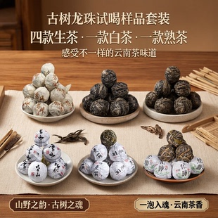 冰岛普洱茶昔归普洱生茶龙珠忙肺曼岗熟茶云南白茶试喝样品茶叶