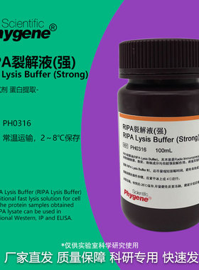 RIPA裂解液 强/中/弱 细胞组织裂解液 蛋白提取实验试剂 100ML