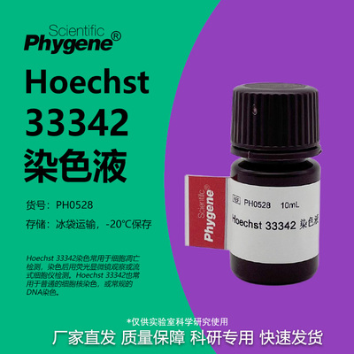 Hoechst33342染色液