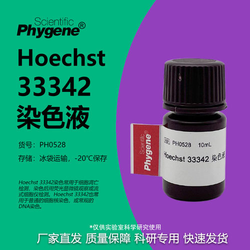 Hoechst33342染色液
