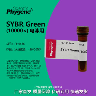 SYBR Green I (10000×) 核酸电泳 核酸染料 50uL PH0636 PHYGENE