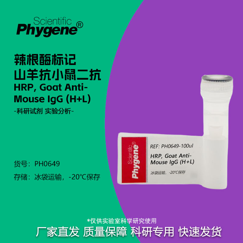 辣根酶标记山羊抗小鼠二抗 HRP, Goat Anti-Mouse IgG (H+L)