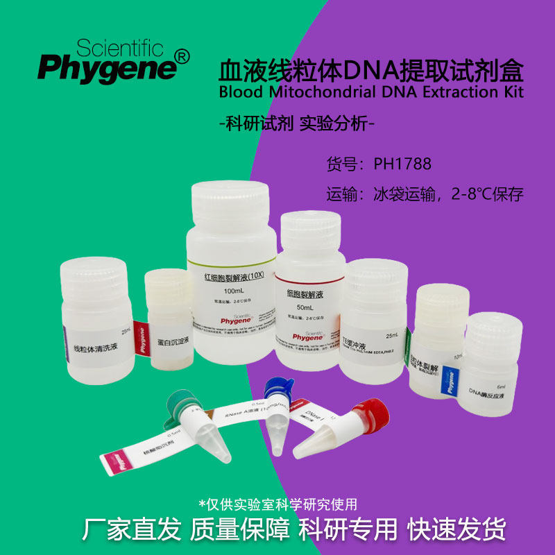 血液线粒体DNA提取试剂盒 100T 科研专用实验试剂 PH1788 PHYGENE