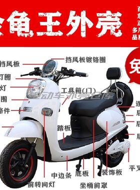 电动车金龟王外壳老百姓
