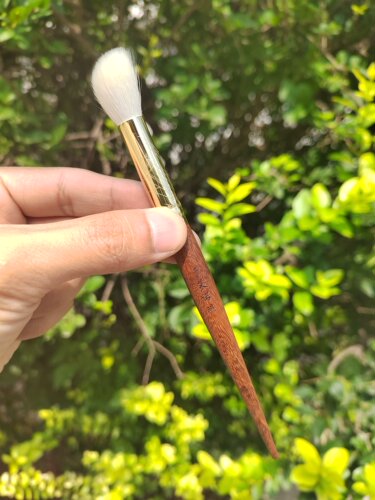 艾诺琪化妆刷光橙茶系列f201羊毛腮红刷高光刷动物毛刷子微瑕疵款