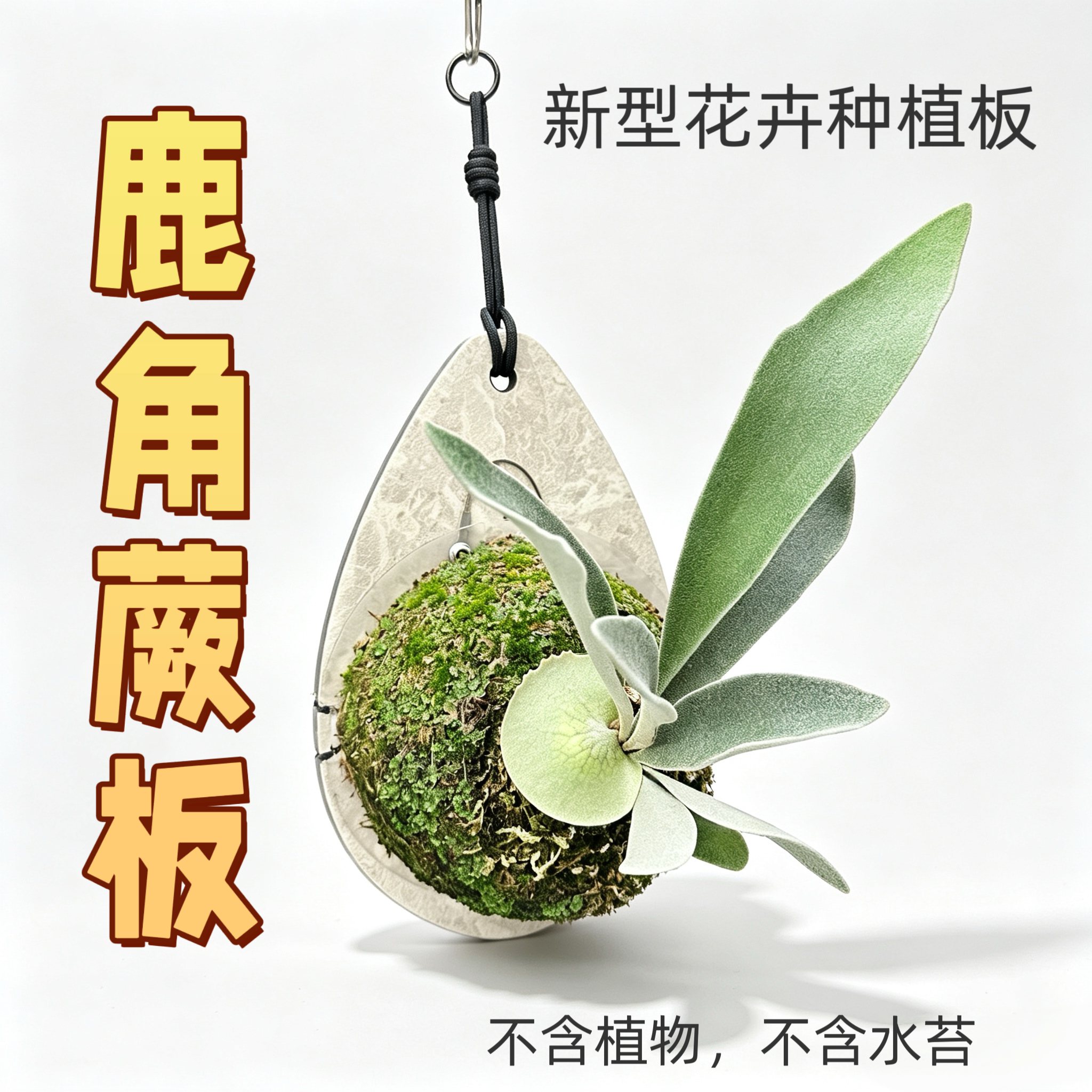 鹿角蕨挂板pvc塑料高密度结皮板蝴蝶兰石斛挂板热植板
