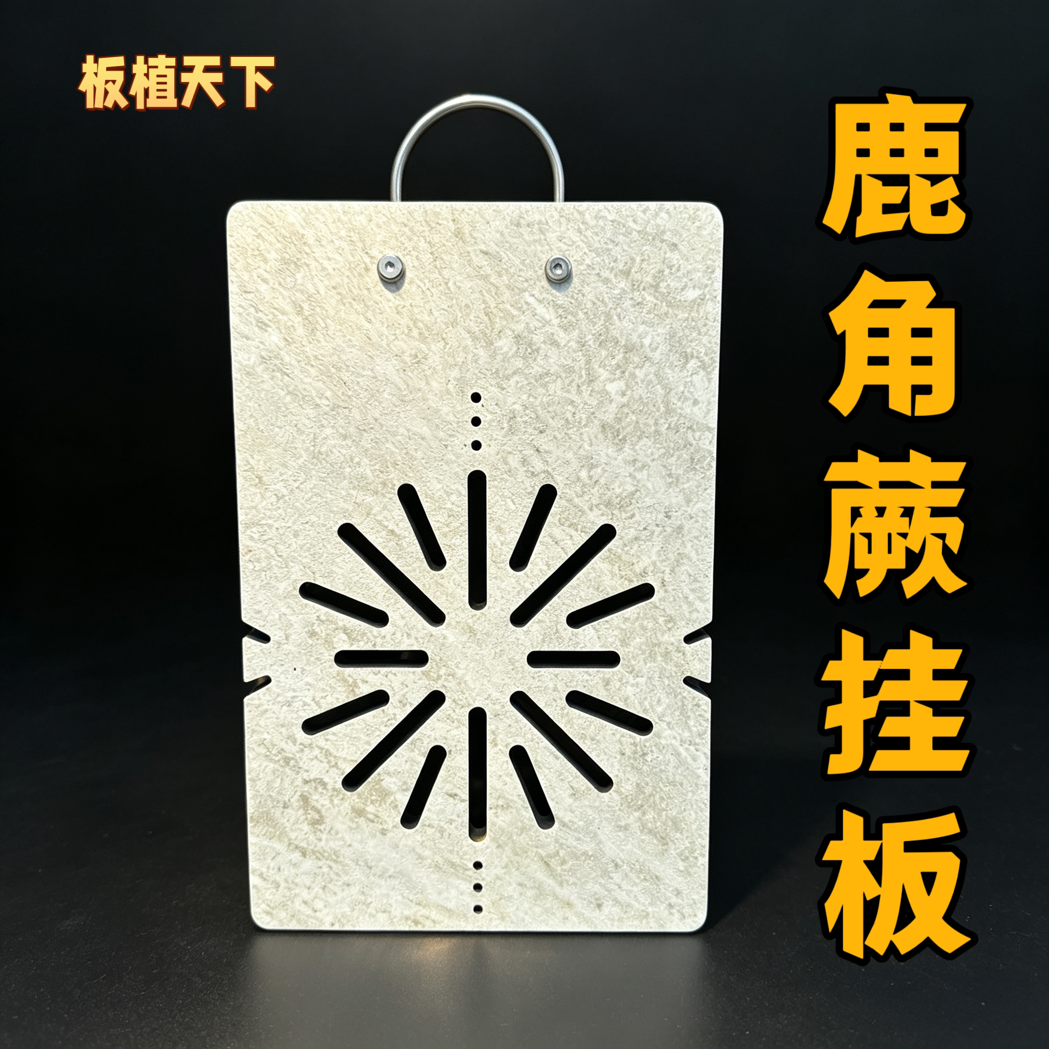 鹿角蕨挂板网红款星云系列挂板热植板洞洞板植鹿角蕨高端挂板图片