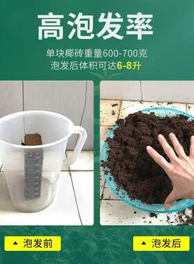 椰砖营养土通用型椰土壤椰糠粗椰壳砖种花养花种菜种植压缩营养土