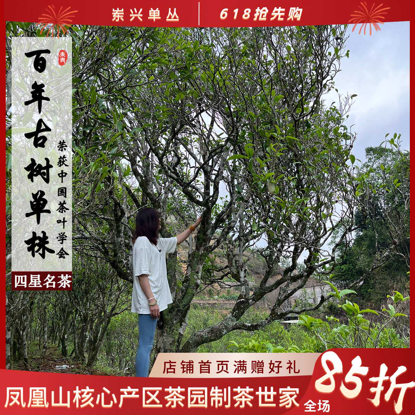 【百年古树单株-中国茶叶学会四星名茶】乌岽单丛茶 限量臻藏250g