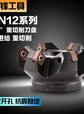 45度重切削铣刀盘 SNMX1205/SNEU1206 刀盘双面八角刀盘 50/63/80
