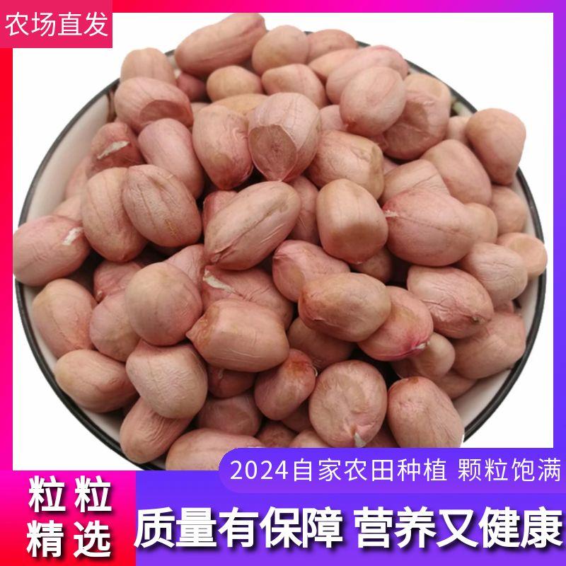 热卖特价精选无壳白沙花生米粉红皮新鲜生花生米河南南阳白沙花生