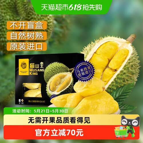 大马彭亨州进口猫山王榴莲肉