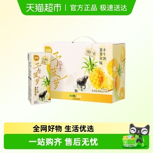 10盒儿童学生调制牛奶整箱 百菲酪菠萝风味水牛奶200ml 臻选