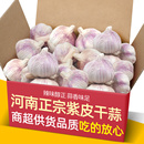 新晒河南干大蒜大蒜头新干大蒜头5斤紫红皮大蒜种籽干蒜