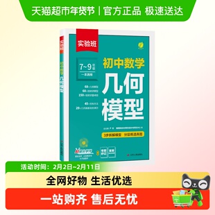 2025实验班中考初中数学几何模型辅助线七八九年级数学压轴题初一