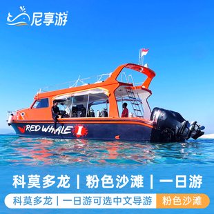 【尼享自营】印尼科莫多一日游粉色沙滩科莫多龙帕达尔岛快艇