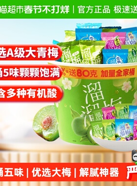 【下拉享优惠】溜溜梅加量全家桶480g青梅雪梅话梅西梅零食