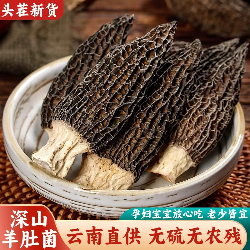 MS羊肚菌干货特产级云南新鲜牛肚菌蘑菇羊肚菇煲汤食材汤料包