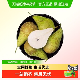 啤梨进口比利时啤梨大果软糯香甜荷兰青啤梨新鲜梨子水果整箱