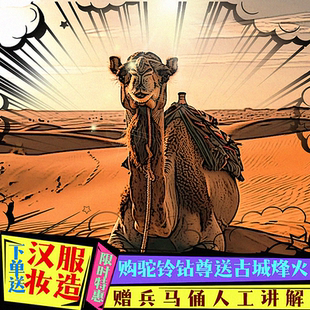 漢服妝造 兵馬俑解說(shuō) 可選席位場(chǎng)次 西安駝鈴傳奇 駝鈴傳奇秀 演出門(mén)票