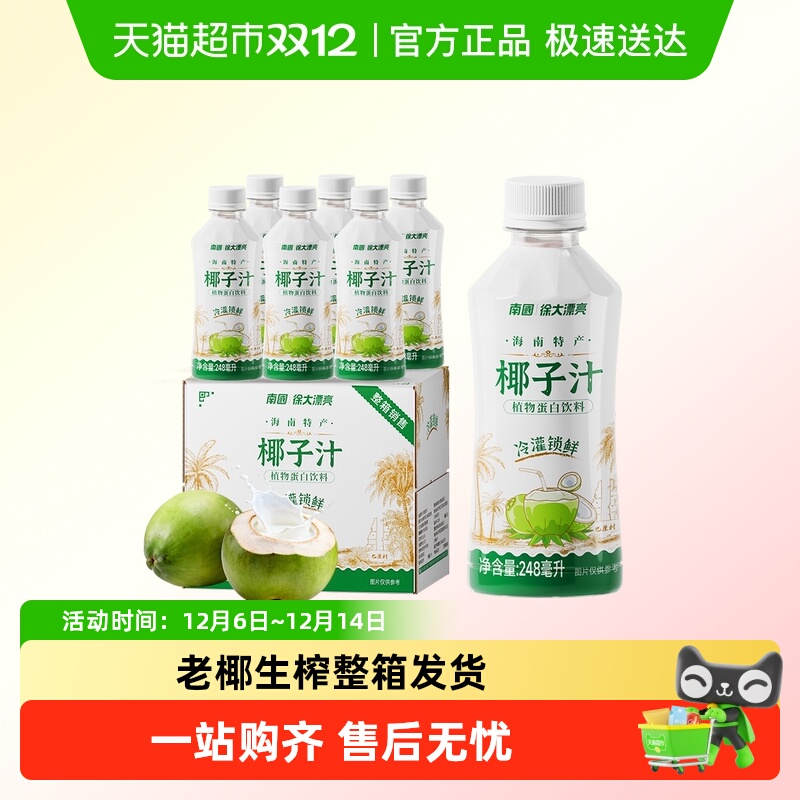 南国海南特产椰子汁椰奶6瓶