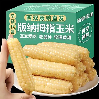 云南西双版纳老品种拇指玉米迷你香糯小玉米儿童早餐代餐饱腹
