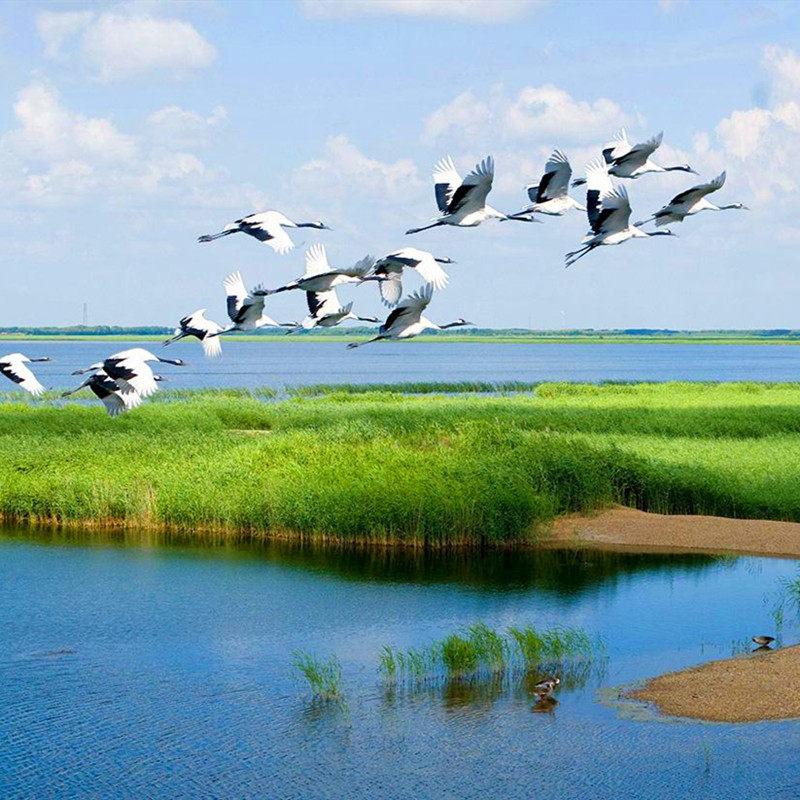 哈尔滨五大连池齐齐哈尔扎龙湿地3天2晚跟团游五大连池旅游