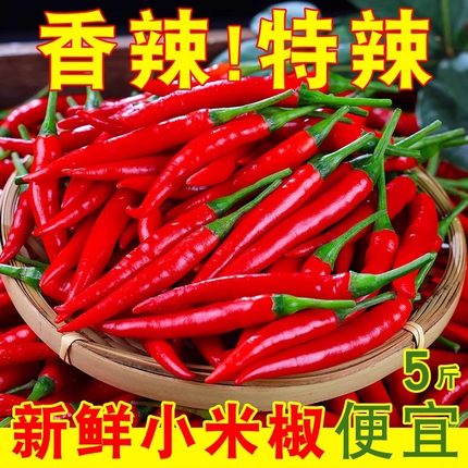 小米辣椒新鲜特辣朝天小米椒红椒薄皮指天辣椒农家自种批发包邮