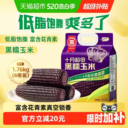 十月稻田黑糯玉米富含花青素
