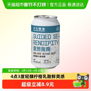 大九酿造意想指南柏林酸小麦精酿易拉罐金桔柠檬鲜啤果酒