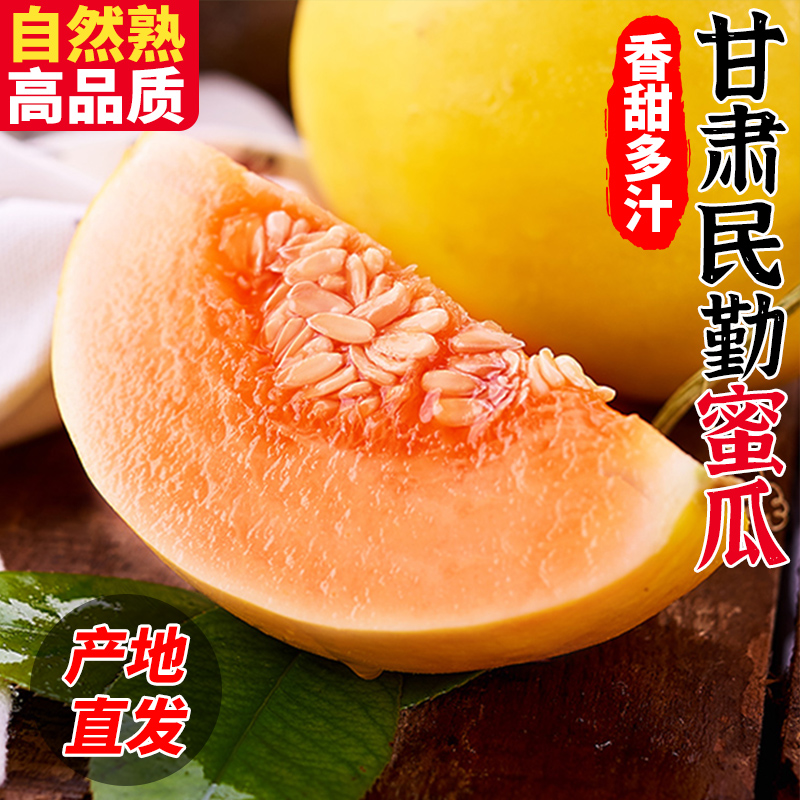 FZ1甘肃民勤黄金蜜瓜新鲜水果当季脆甜冰糖网纹香蜜瓜产地直发