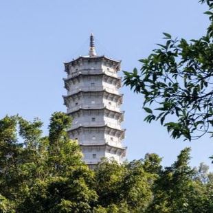 专车接送&纯玩 深圳野生动物园 含门票 园博园一日游 南头古城