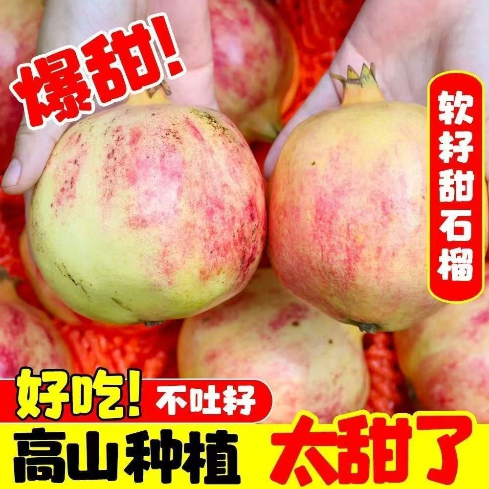 正宗四川突尼斯软籽石榴