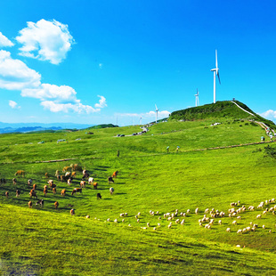 贵州旅游8天7晚私家团贵阳黄果树瀑布织金洞乌蒙大草原万峰林赤水
