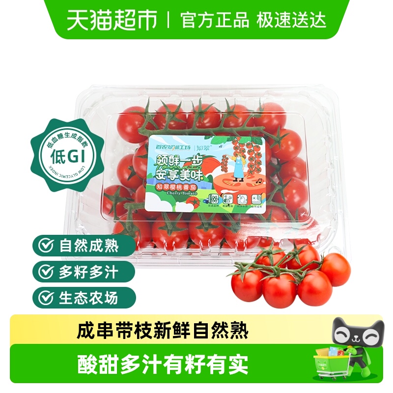 知翠樱桃小番茄应季水果西红柿