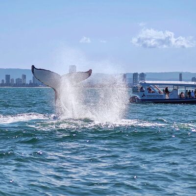 定制旅行懒猫旅行澳洲旅游私家团悉尼墨尔本圣灵群岛凯恩斯