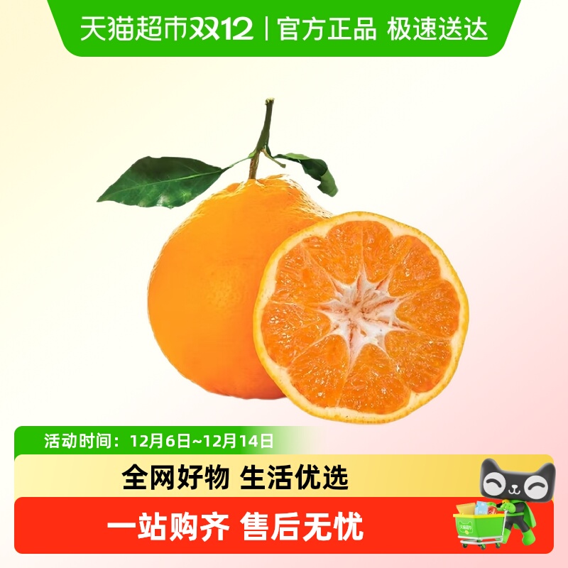 四川春见耙耙柑手剥橘子桔子新鲜现摘应季水果皮薄多汁整箱