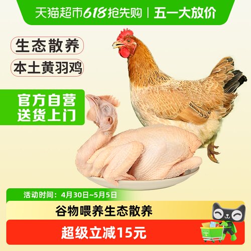 温氏食品三黄鸡散养土鸡鸡肉