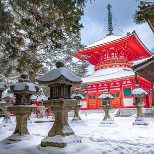 日本旅游自由行7天6晚高松机票+酒店 代办签证直岛地中美术馆
