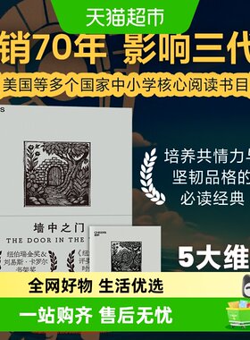 不再隐身的男孩墙中之门儿童文学